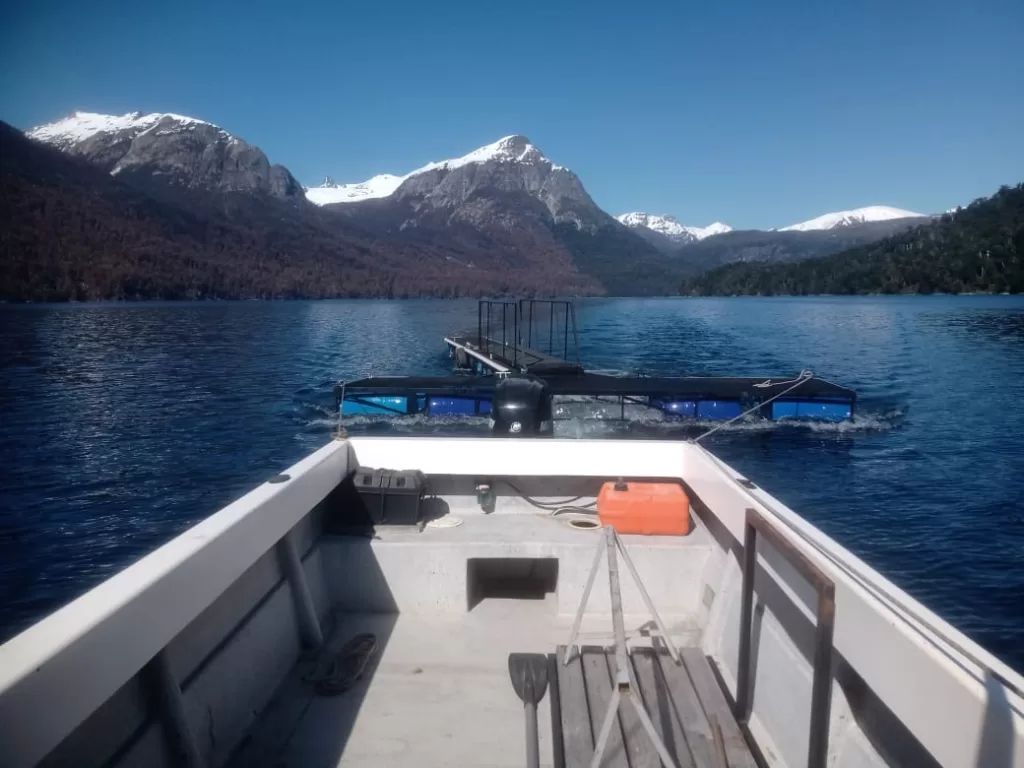 Sucedió luego de la denuncia de Prestadores que alertaron sobre la instalación de un muelle flotante en el fondo del Brazo Tristeza. Guardaparques de la Zona Lacustre del Parque Nacional, procedieron al secuestro, desarme y traslado del mismo.
