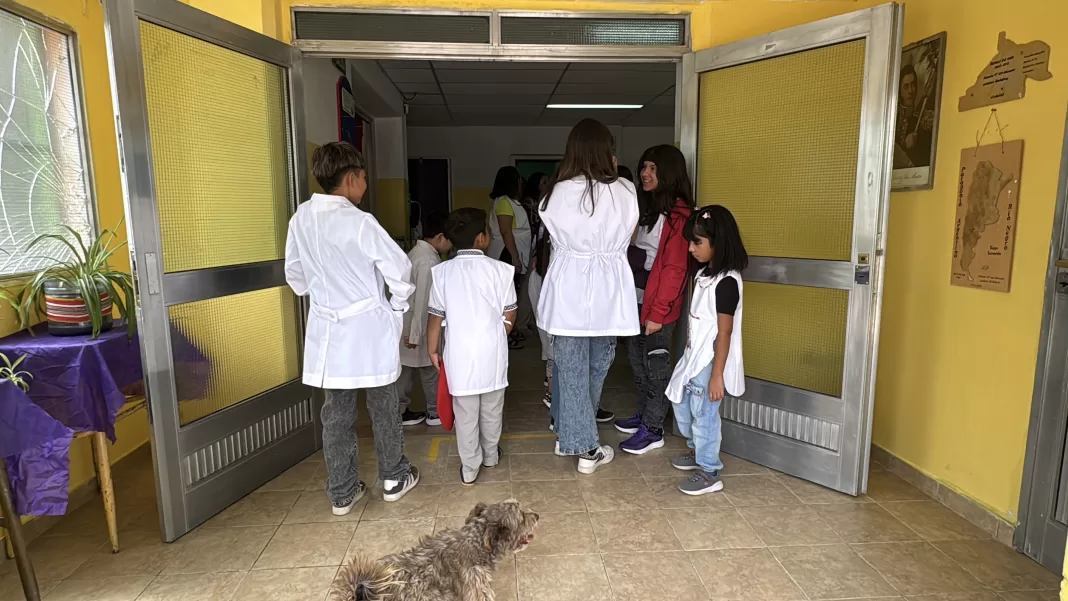 El próximo 5 de marzo volverán a escuelas y jardines de Río Negro, más de 215.000 estudiantes.